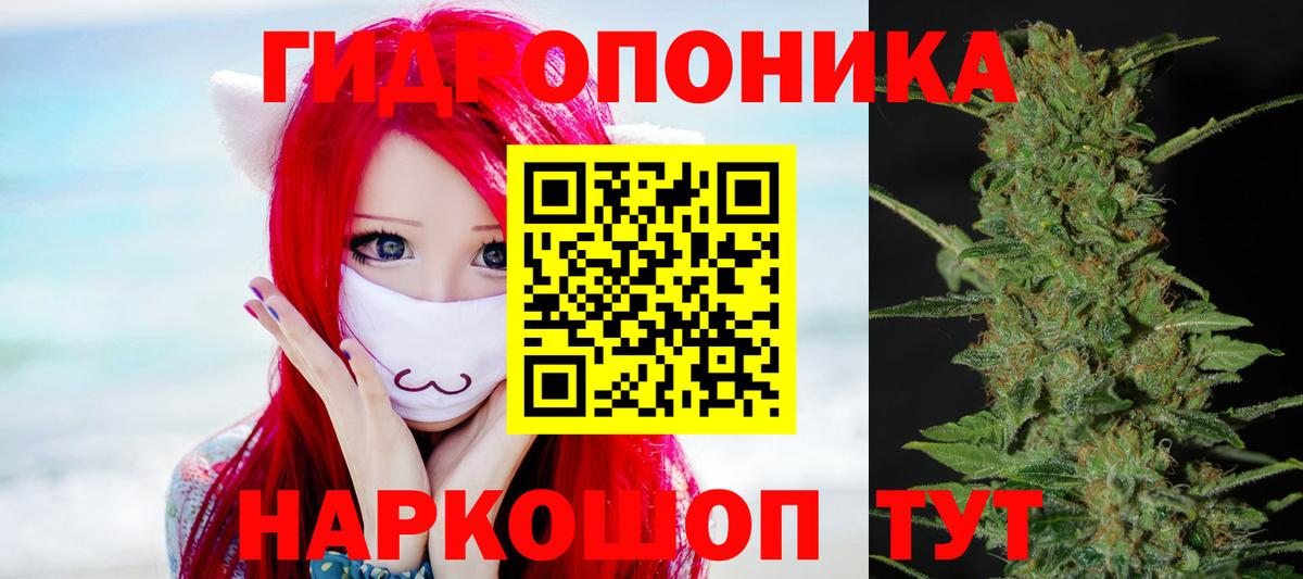 Карталы  Конопля VHQ  Вход с VPN  Марихуана планчик 